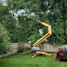 Reliable Dover, FL  Tree Services Solutions